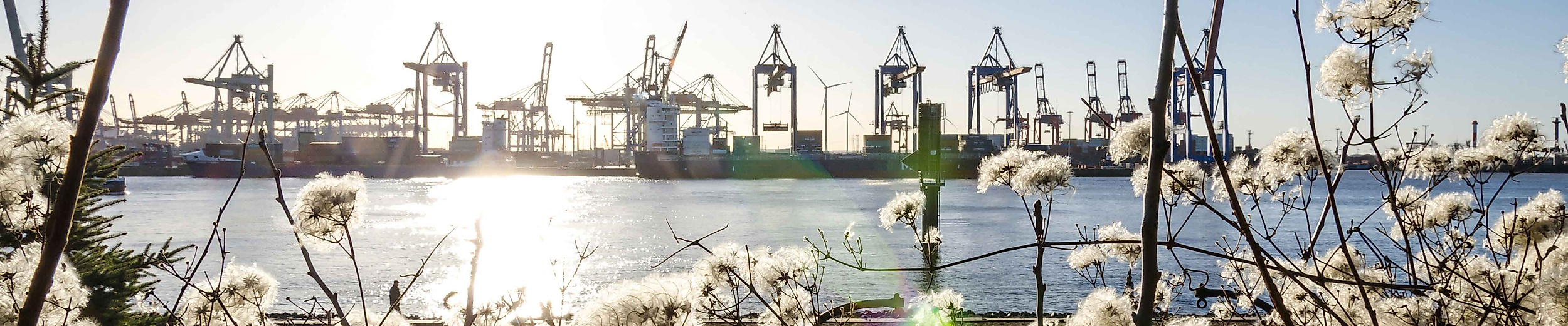Bild auf Hafenkrähne mit Blüten im Vordergrund
