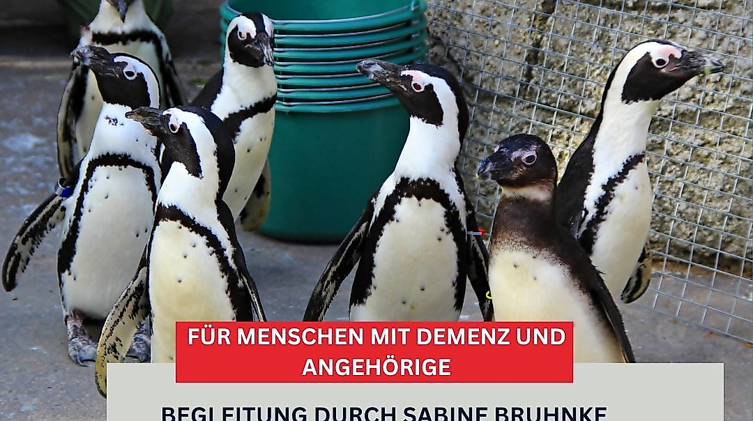 spaziergang-hagenbeck