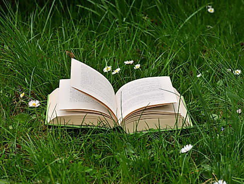Offenes Buch auf einer Wiese