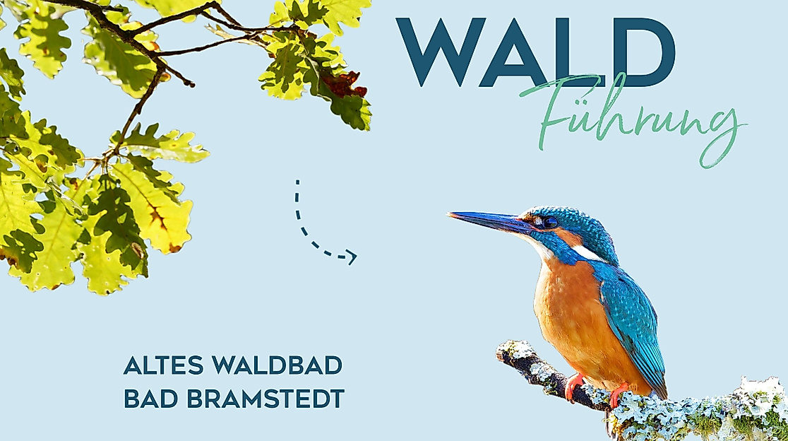 Waldführung Bad Bramstedt