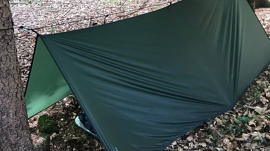 Tarp im Wald