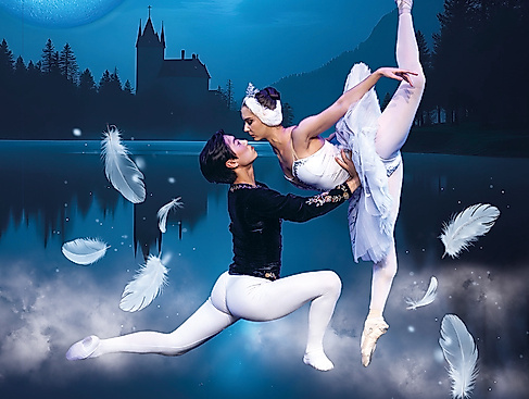 Schwanensee - klassisches Ballett für die ganze Familie