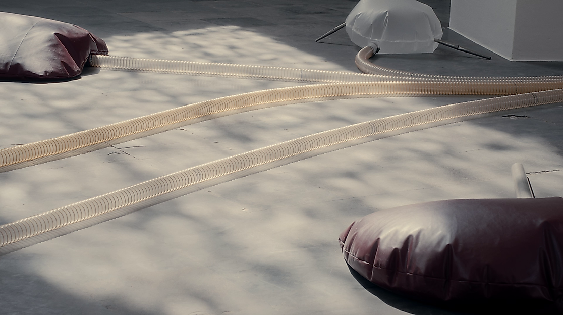 airchoir-photo-2-atethan-cannaert-scaled