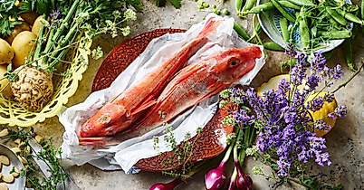 ht_genussrallye_hafen-1-c-erlebnisrallye