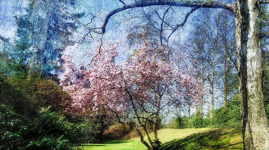 Magnolie_0574 V2-1-web