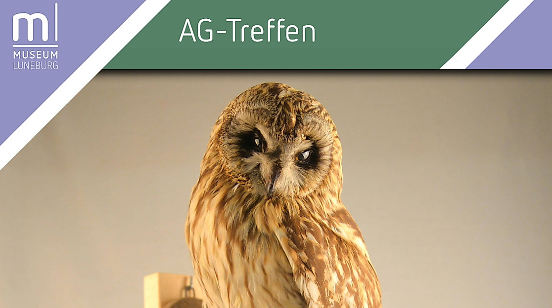 Treffen der Eulenschutz-AG im Museum Lüneburg