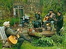 Bad Penny - Saint Paddy's Concert