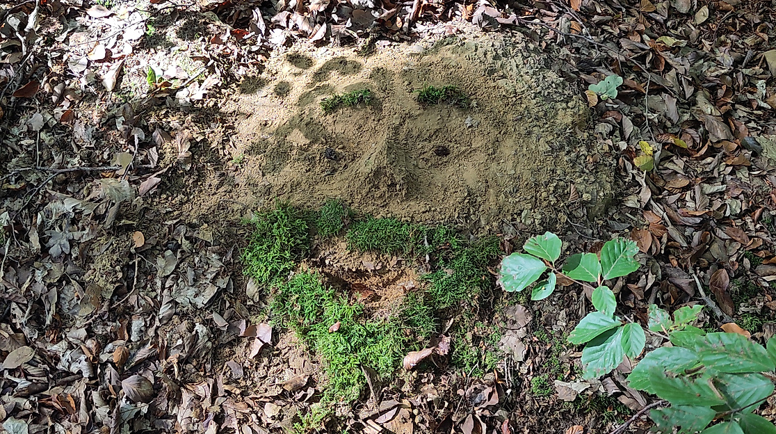 Mitmachaktion: LandArt