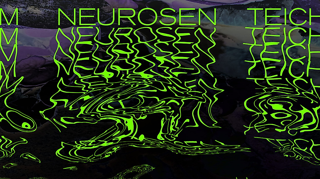 IM NEUROSENTEICH