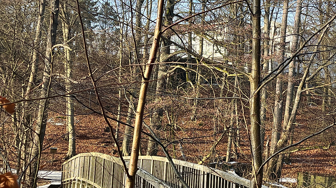Waldhalle am Schmalsee mit Brücke