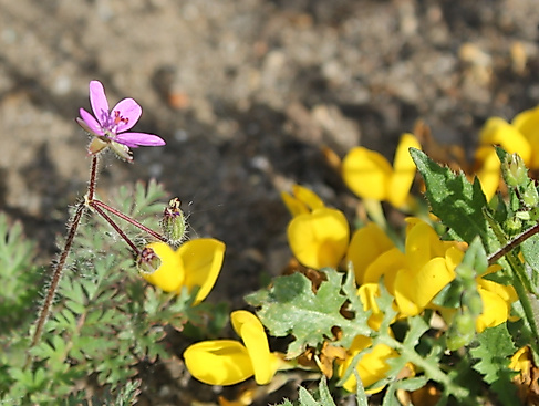 Frühstück für Alle