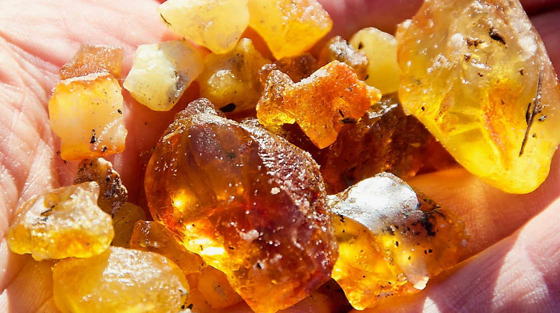 Bernsteine aus der Nordsee