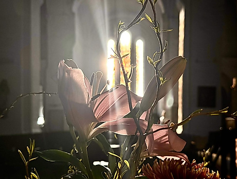 Abendsegen mit Pastorin Margrit Wegner und der Domkantorei