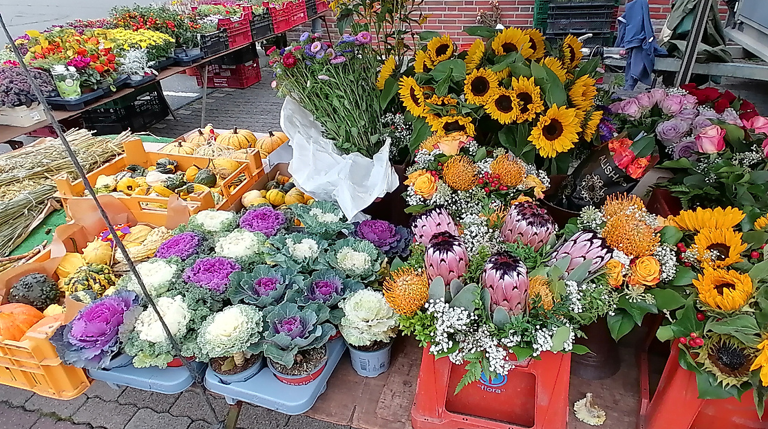 Markttag in Wesselburen