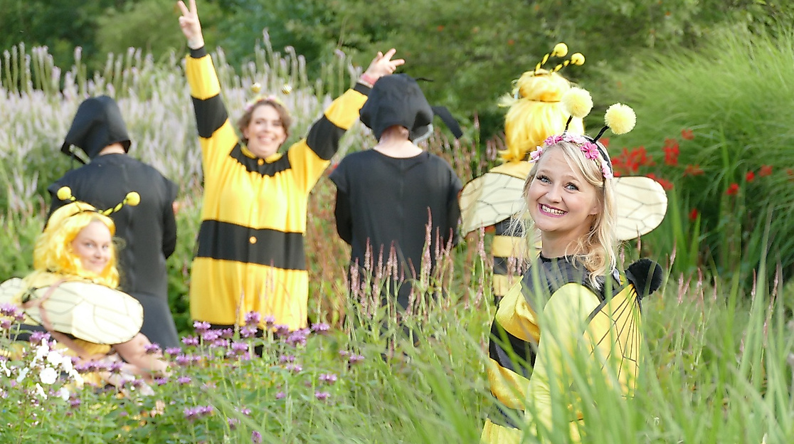 Maja, Hubsi Hummel und die Ameisen