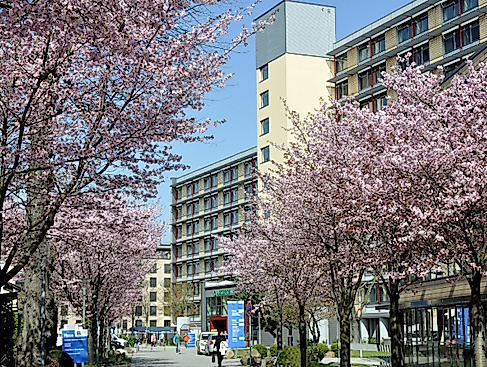 asklepios-stgeorg-kirschbaumallee-0700b