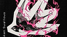 Drunken Swallows + Support: Chapter X
