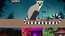 Dark Comedy Show - Schwarzer Humor
