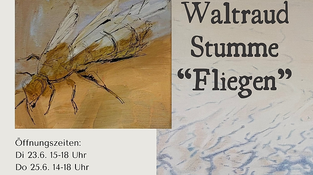 waltraud stumme fliegen flyer