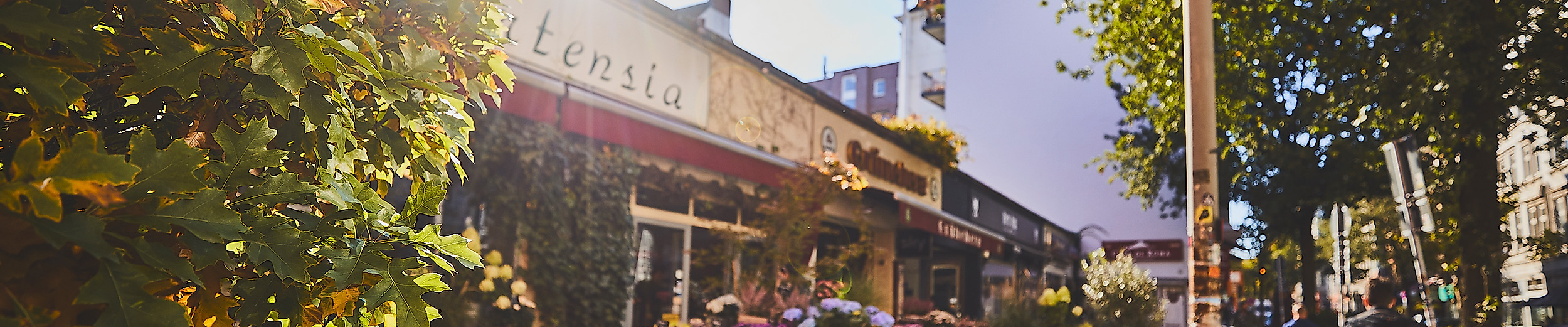 Blumenladen und Straßencafé im Sonnenlicht an der lebendigen Einkaufsstraße Lange Reihe in Hamburg.