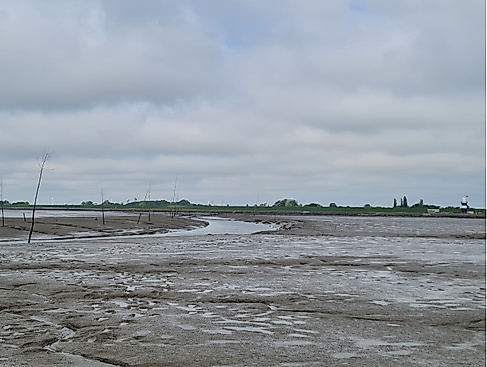 Watt für alle - Wremen