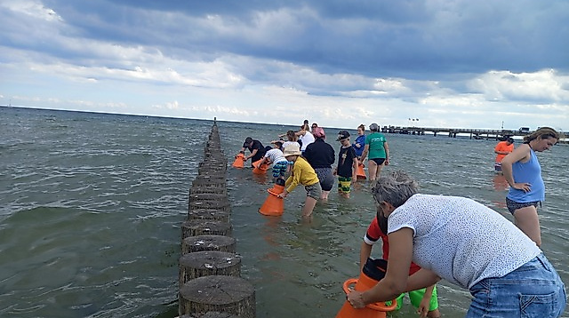 Aquaskop: Entdecke die Unterwasserwelt der Ostsee
