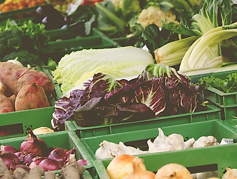 Wochenmarkt in Malente