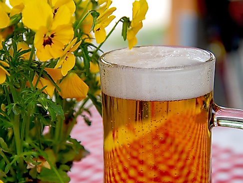 Bayrischer Abend in Sittensen