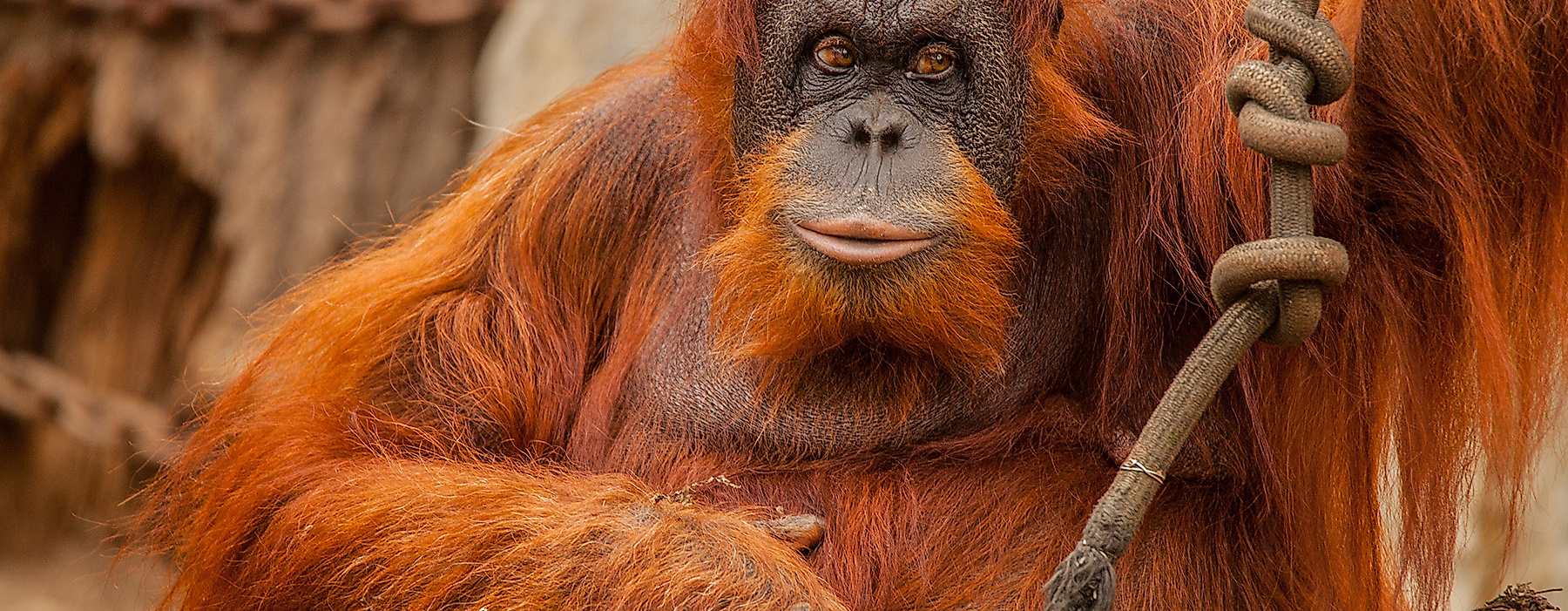 Tierpark Hagenbeck