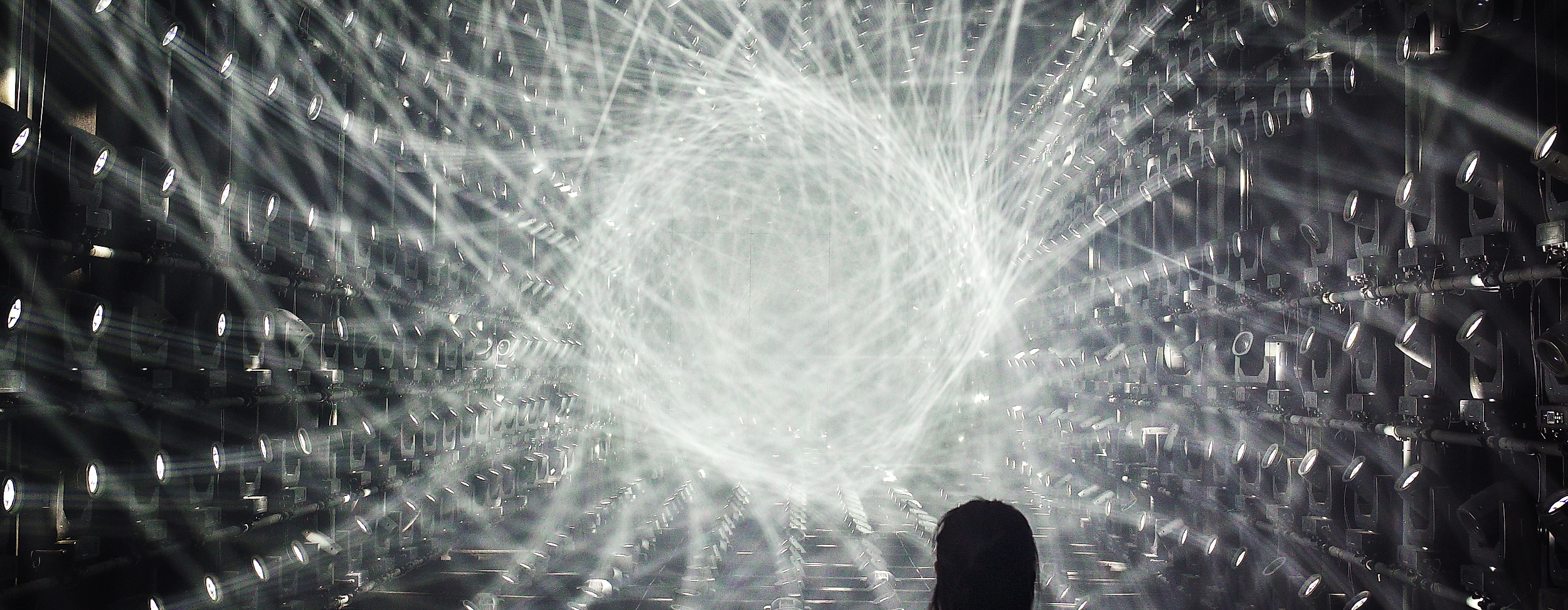 digital-art-museum_birth_c-2021_teamlab