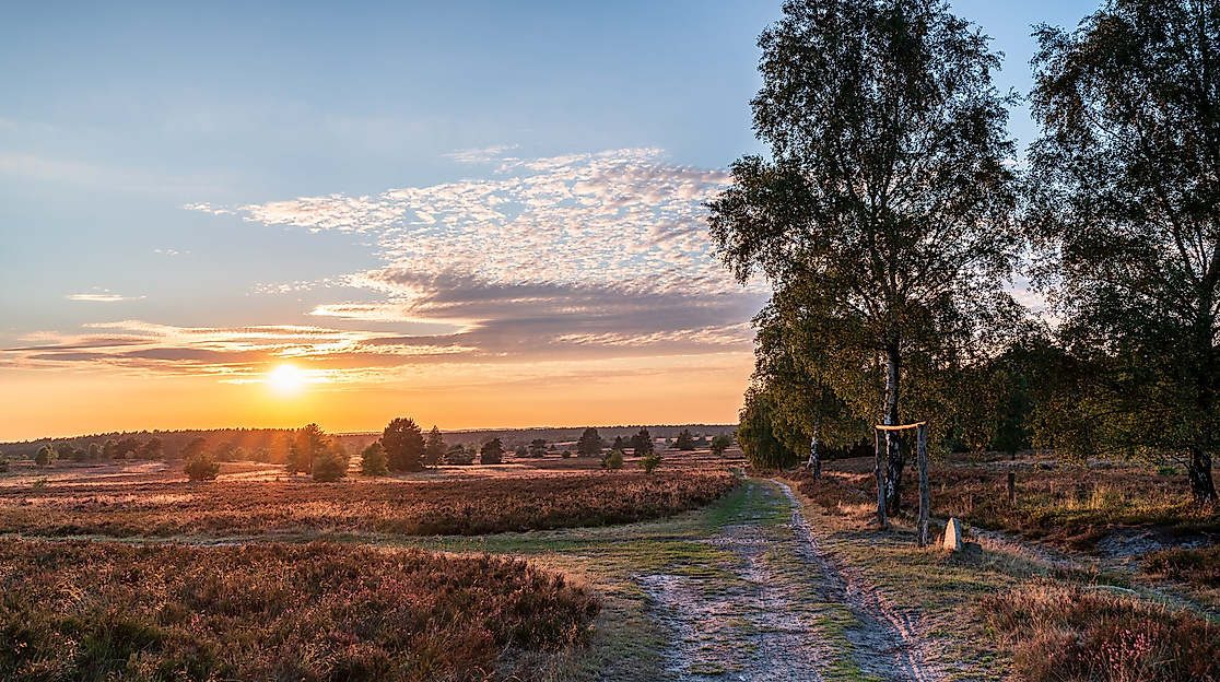 Fotowalk - Sonnenuntergang in der Weseler Heide