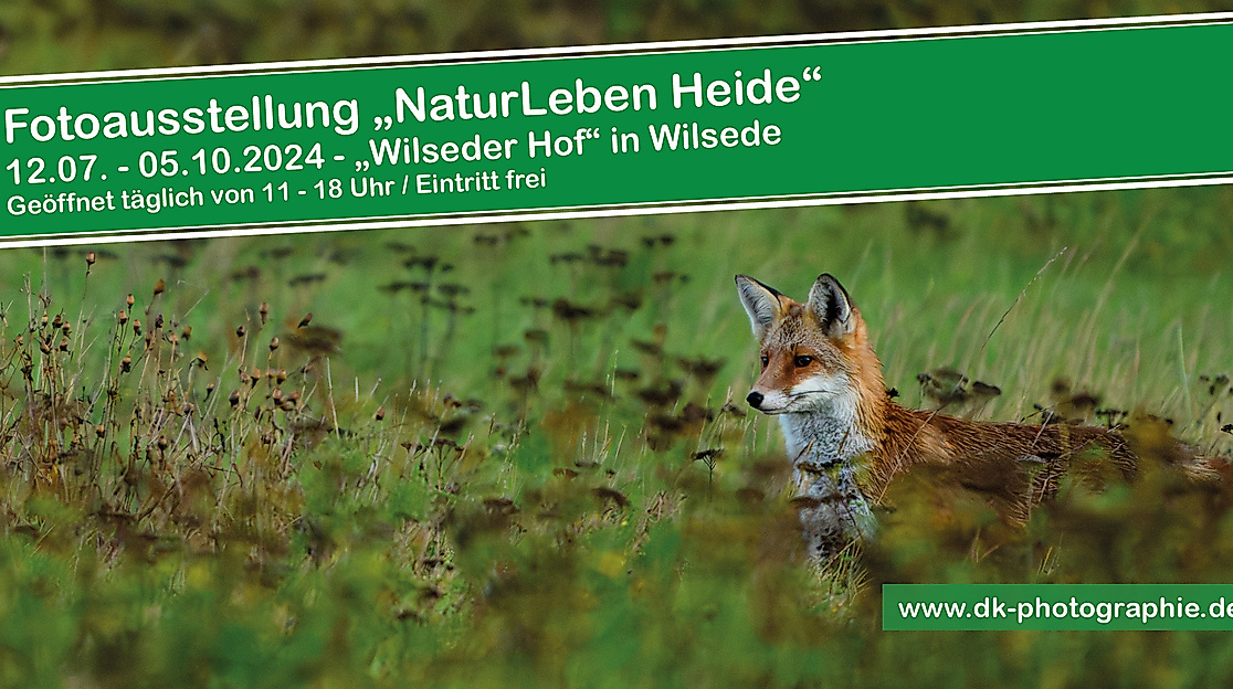 Flyer Wilseder Hof Ausstellung 2025 vorne