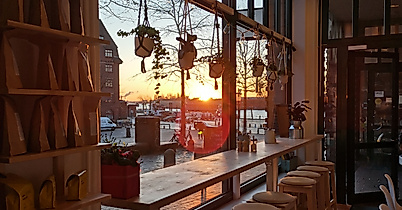 The Special Connection