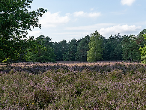 Naturparktag