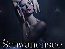 Schwanensee - Jenseits der Bühne - Live Streichquartett