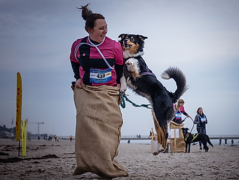Crossdog on the Beach