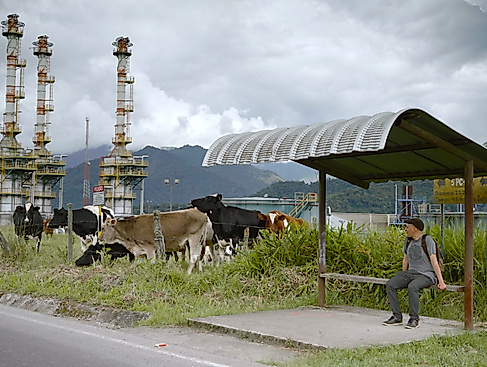An einer Bushaltestelle in den Bergen sitzt eine Person mit Rucksack und wartet. Im Hintergrund Industrieanlagen, Kühe und bewölkter Himmel.