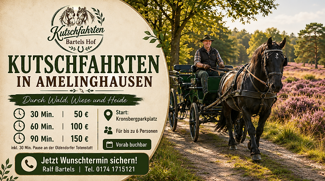 Kutschfahrten durch Wald, Wiese und Heide