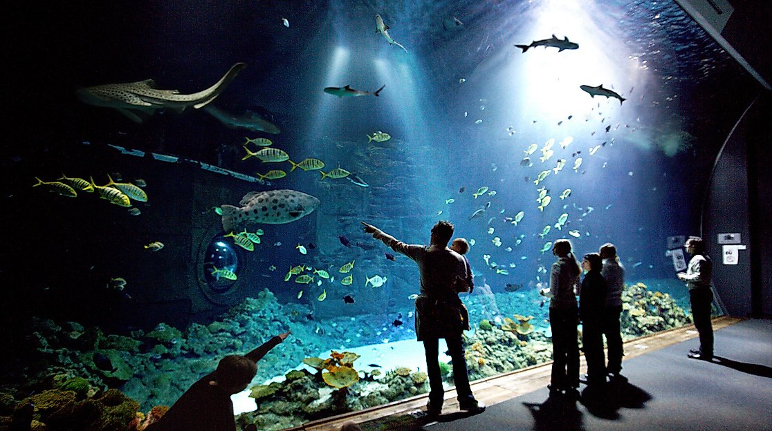 Tropen-Aquarium Hagenbeck