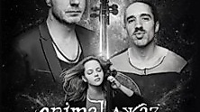 Animal Jazz