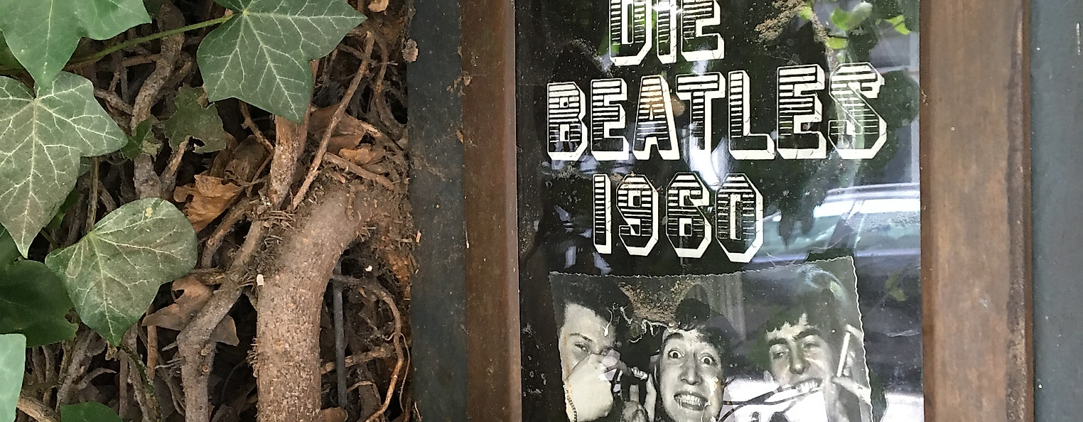 bambi_kino_c-anna_lidle-3