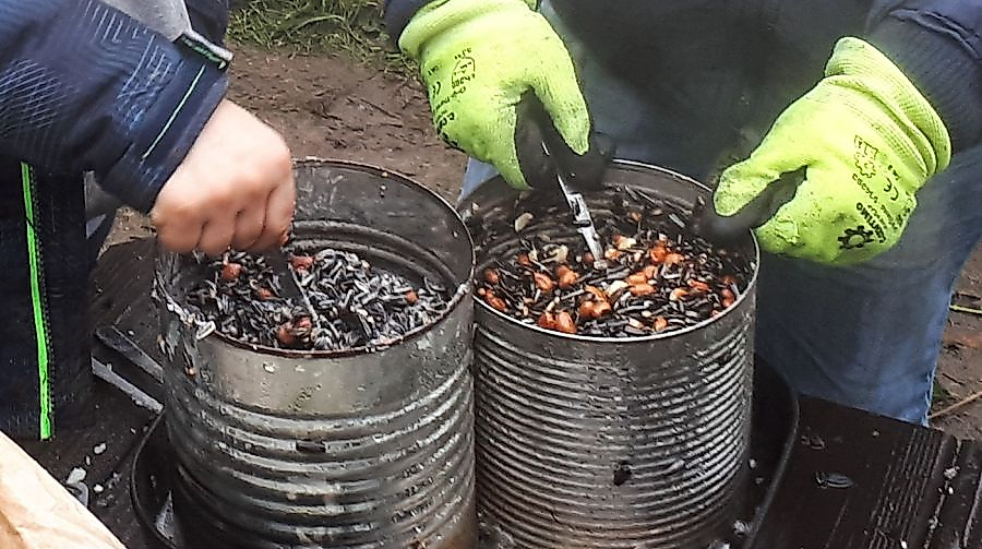 Vogelfutter selbst herstellen