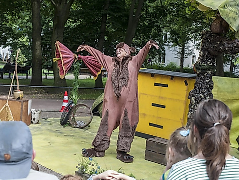 Der Bär und die Bienen