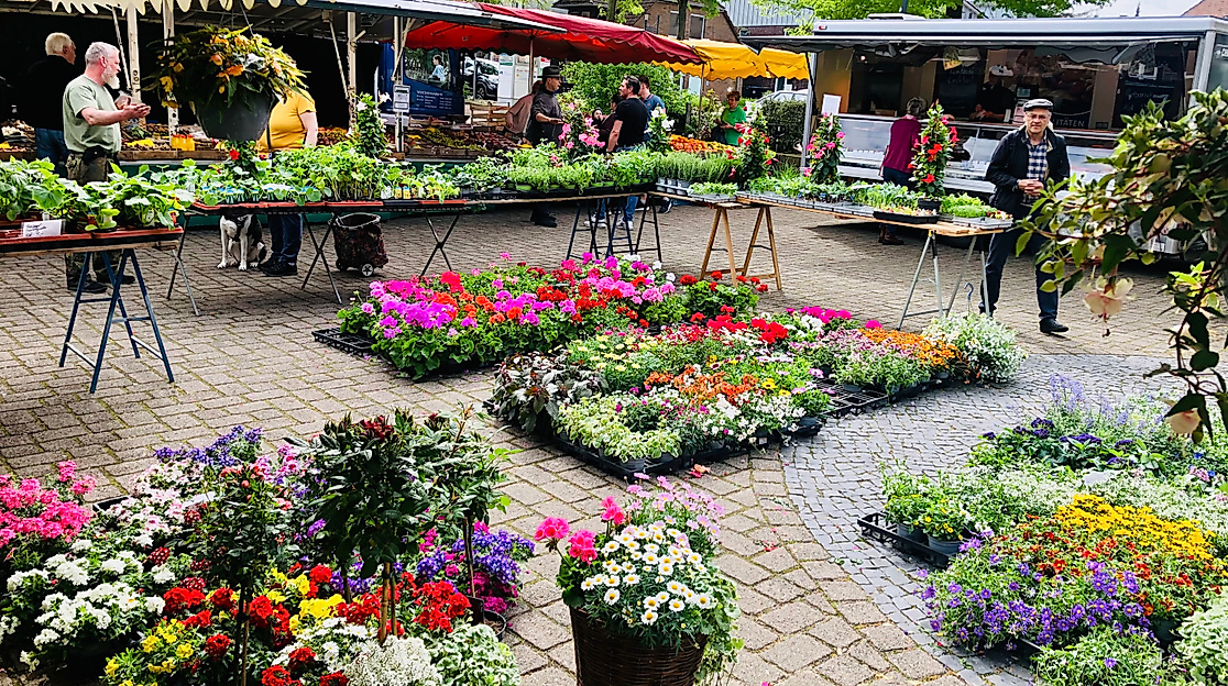 Ebstorfer Wochenmarkt