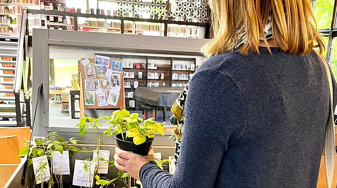 Pflanzentauschbörse in der Bibliothek Waldmühle