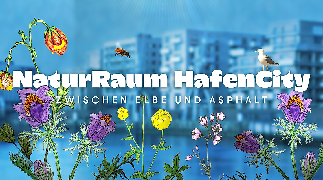 hafencity-endtitel-16zu9-kopie