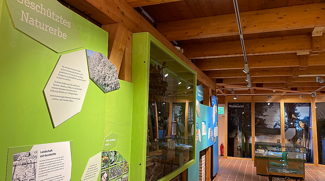 Museumsnacht