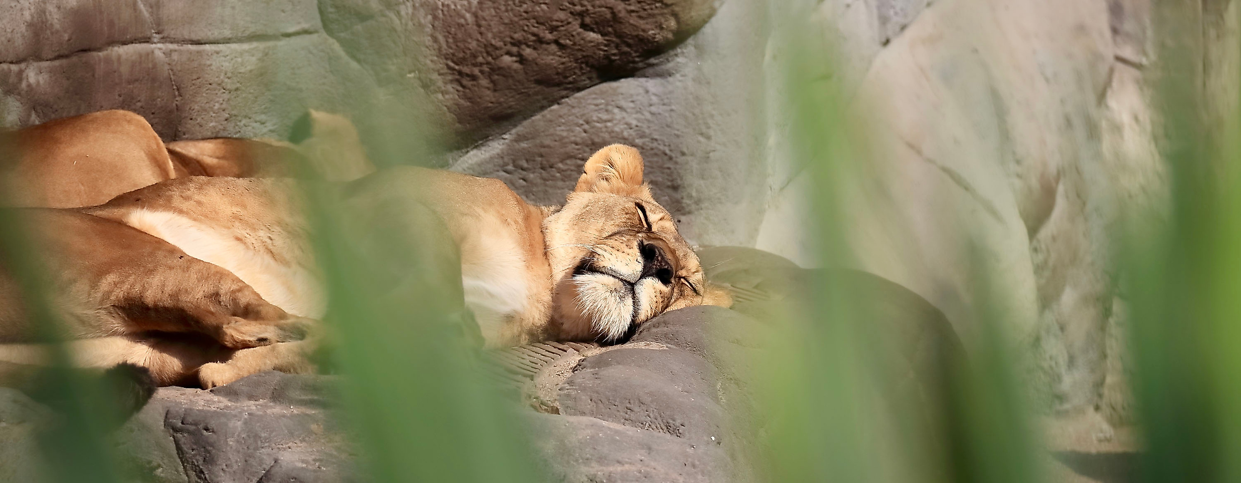 Tierpark Hagenbeck