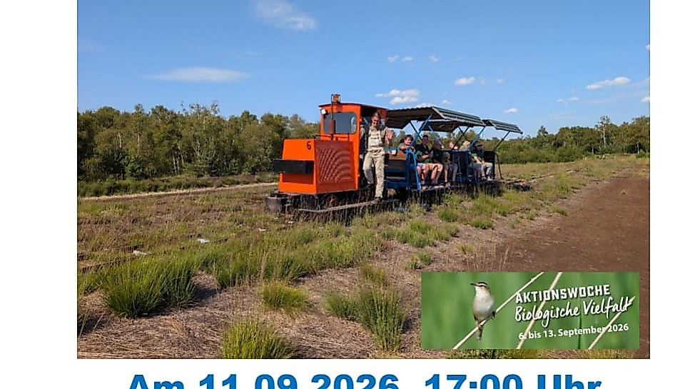 Torfbahn mit Besuchern im Moor