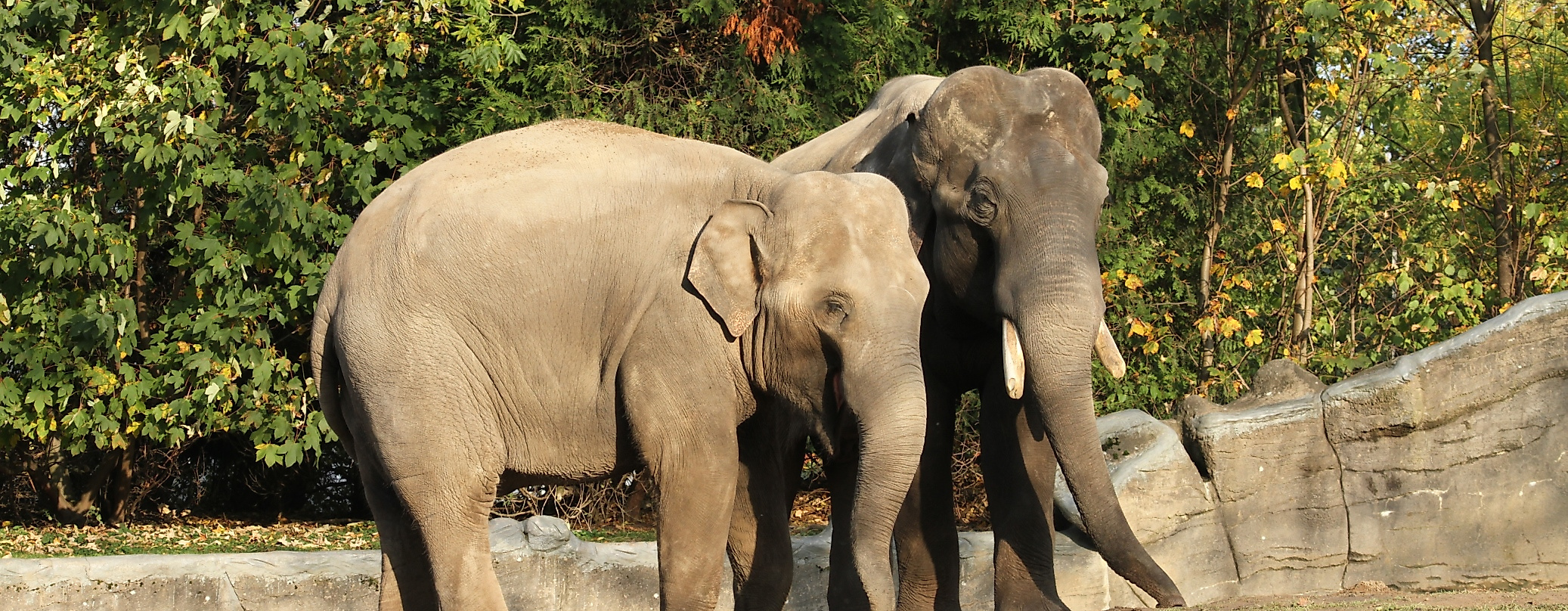 Tierpark Hagenbeck